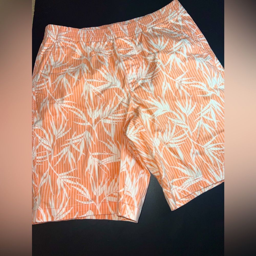 Land’s End Women’s Mid Rise Shorts Size 12 Crisp Peach Striped Palms NWOT